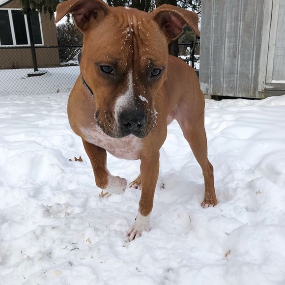 Meet your Posher, Kevin - Picture 1 of 1